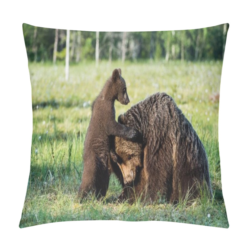 Personality  Bear cubs hide for a she-bear pillow covers