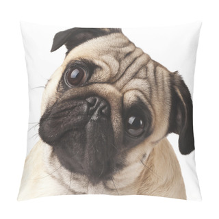 Personality  Close-up Of Pug Pillow Covers