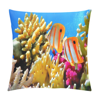 Personality  Coral Reef And Copperband Butterflyfish Pillow Covers