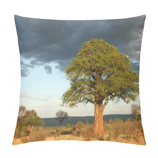 Personality  Baobab Tree - Tarangire National Park. Tanzania, Africa Pillow Covers