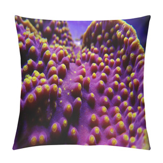 Personality  Underwater Macro Shot On Yellow Polyps From Purple Turbinaria Coral Pillow Covers