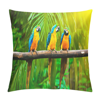 Personality  Blue-and-Yellow Macaw Pillow Covers