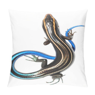 Personality  Blue Tail Skink Lizard Pillow Covers