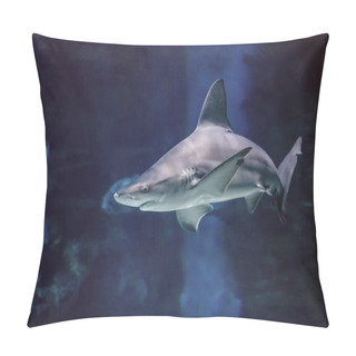 Personality  Big Shark In The Clear Blue Water Of Indian Ocean. It Is Underwater Pjoto. Pillow Covers