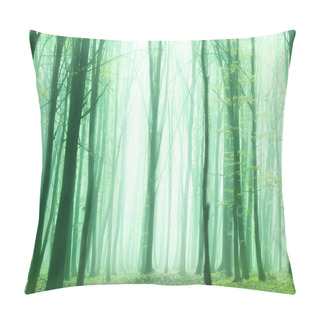 Personality  Foggy, Sunny Morning In Summer Forest. Fantasy Forest. Pillow Covers