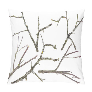 Personality  Old Apple And Cherries Tree Branches Isolated Pillow Covers