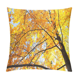 Personality  Fall Maple Leaves Pillow Covers