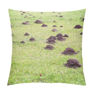 Personality  Mole Mound Pillow Covers