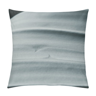 Personality  Macro View Of Monochrome Grey Aloe Leaf Pillow Covers