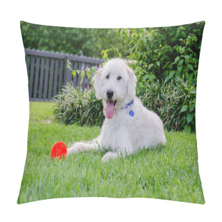 Personality  Labradoodle With Red Toy Ball Pillow Covers