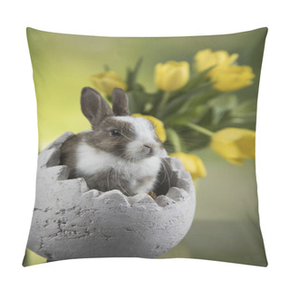 Personality  Spring Baby Bunny, Tulip Flower Background Pillow Covers