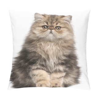 Personality  Persian Kitten, 3 Months Old, Sitting In Front Of White Backgrou Pillow Covers