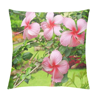 Personality  Hibiscus Flower In Garden Pillow Covers