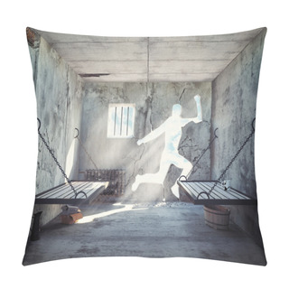 Personality  Escape From A Prison Cell  Pillow Covers