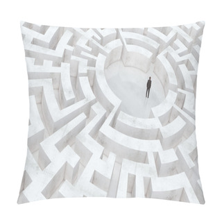 Personality  Businessman At The Center Of The Maze Pillow Covers