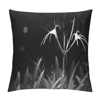 Personality  White Spider Lily Pillow Covers