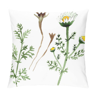 Personality  Chamomile Flowers And Leaves. Watercolor Background Illustration Set. Watercolour Drawing Fashion Aquarelle Isolated. Isolated Chamomile Illustration Element. Pillow Covers