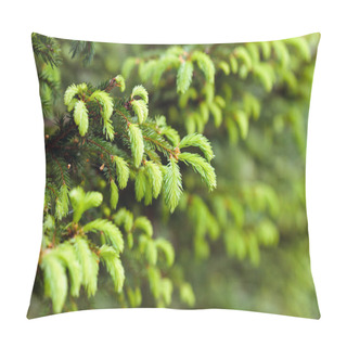Personality  Fir Buds Macro Pillow Covers
