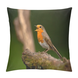 Personality  European Robin Sitting On The Branch Pillow Covers