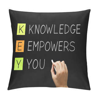 Personality  Knowledge Empowers You Acronym Pillow Covers