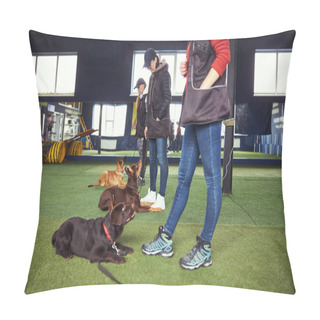 Personality  Calm Obedient Canines Undergoing Group Dog Training Pillow Covers