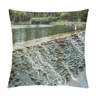 Personality  Selective Focus Of Gulls Standing On Stones In River With Flowing Water  Pillow Covers