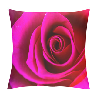 Personality  Roses In Rose Garden Pillow Covers