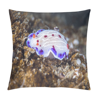 Personality  Cape Dorid (Hypselodoris Capensis) Nudibranch Underwater, A White-bodied Sea Slug With Purple-spotted Margin And White Lines And Red Spots Pillow Covers