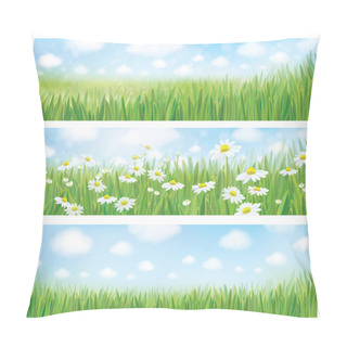 Personality  Summer Landscape With Chamomiles Pillow Covers