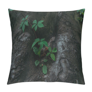 Personality  Close-up Shot Of Tree Trunk With Vine Pillow Covers
