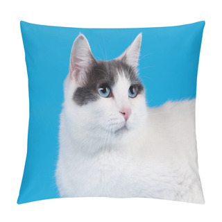 Personality  Bicolor Japanese Bobtail On Sky Blue Background Pillow Covers