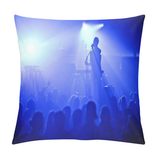 Personality  Signer In Silhouette In Front Of A Big Crowd Pillow Covers