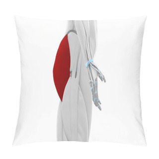 Personality  Gluteus Maximus - Muscles Pillow Covers