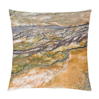 Personality  Thermophile Bacteria Mats In Hot Spring Runoff, Yellowstone National Park Pillow Covers