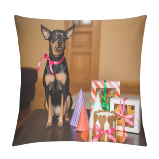 Personality  Toy Terrier And Dog Cake , Cookie In Boxes With Birthday Hat  Pillow Covers
