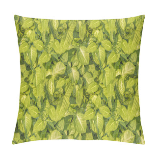 Personality  Tropical Style Leaves Motif Seamless Pattern Pillow Covers