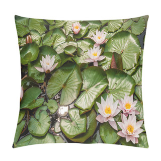 Personality  A Family Of Pink Waterlilies Floating On A Pond. Pillow Covers