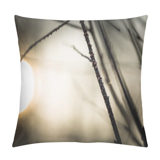 Personality  Close Up Of Withered Tree Twig With Rime Pillow Covers