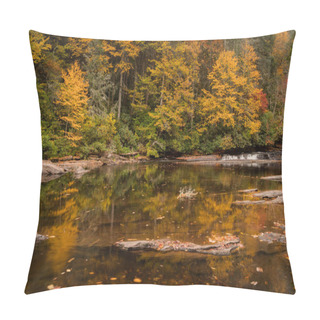 Personality  Fall Forest Landscape With Small Waterfall And Reflections In The North Carolina Appalachian Mountains Near Brevard And Asheville Pillow Covers