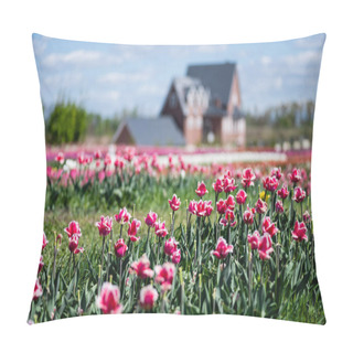 Personality  Selective Focus Of House And Pink Tulips In Field Pillow Covers