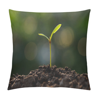 Personality  Young Plant Pillow Covers