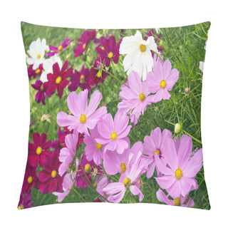 Personality  Pink And White Cosmos Pillow Covers