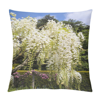 Personality  White Wisteria Flowers. Pillow Covers