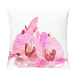 Personality  Beautiful Blooming Orchid Isolated On White Pillow Covers