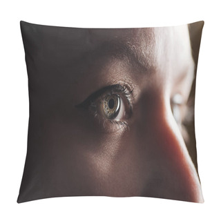 Personality  Close Up View Of Young Woman Eye With Eyelashes And Eyebrow Looking Away In Dark Pillow Covers