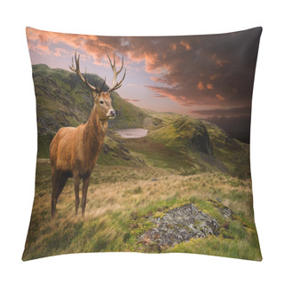 Personality  Red Deer Stag In Moody Dramatic Mountain Sunset Landscape Pillow Covers