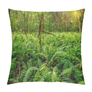 Personality  Scenic View Of Rainforest With Ferns Pillow Covers