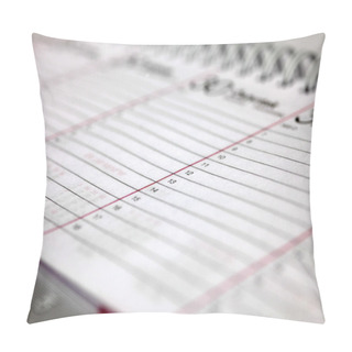 Personality  Close Up Opened Agenda Pillow Covers