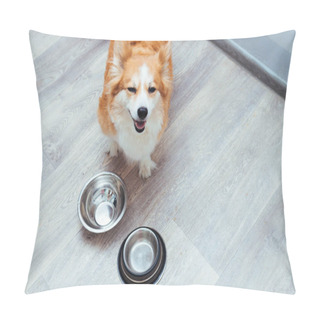 Personality  Dog Is Standing In The Kitchen At An Empty Bowl Waiting For Food. Pillow Covers