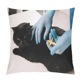 Personality  Cropped View Of Veterinarian Microchipping  Black Cat On Table Pillow Covers